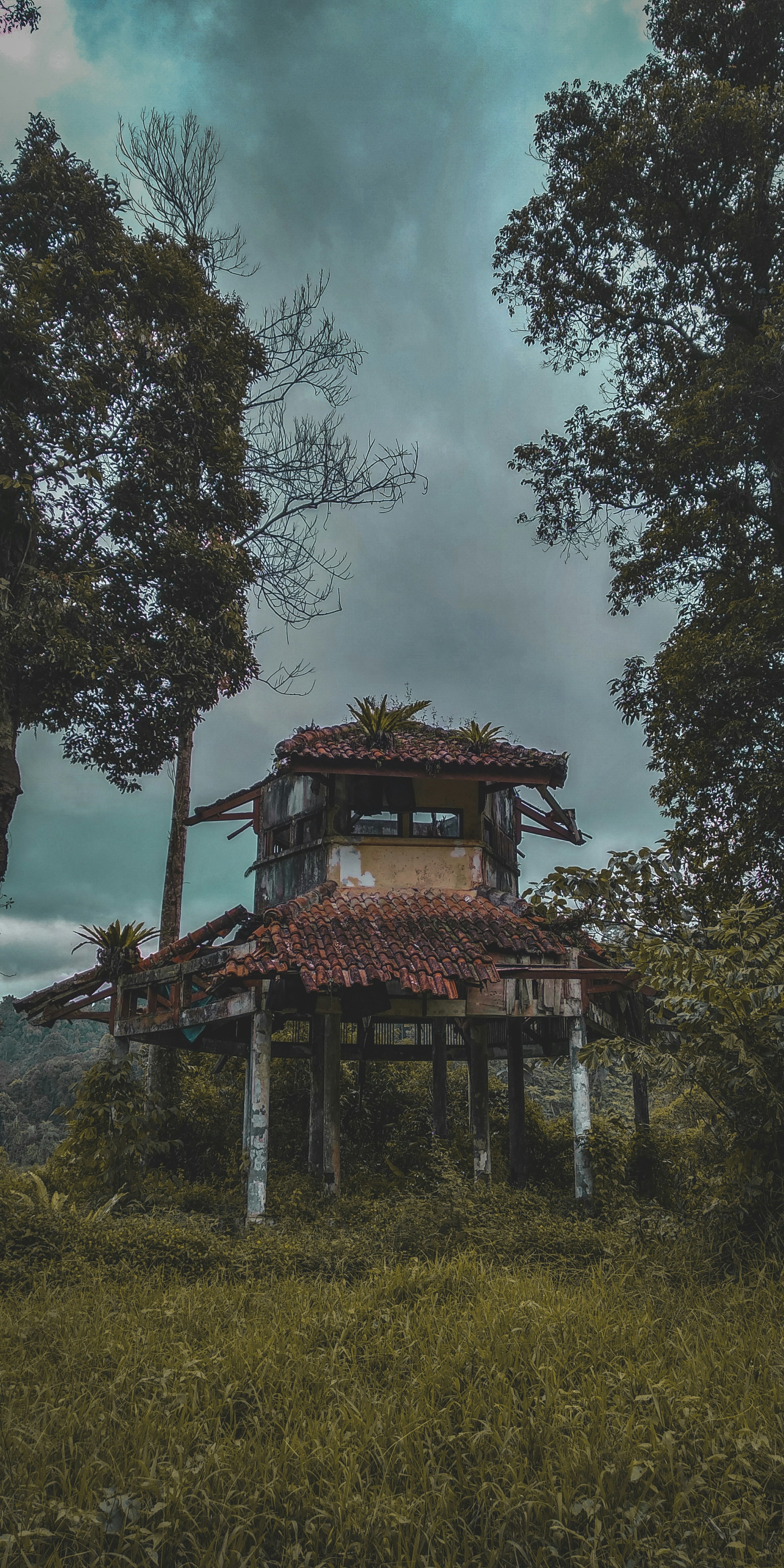 Photo by rinaldiakbar