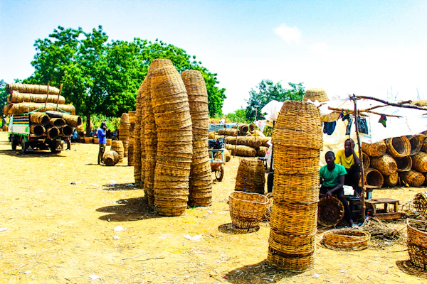 Paniers en osier tressé exposés à la vente