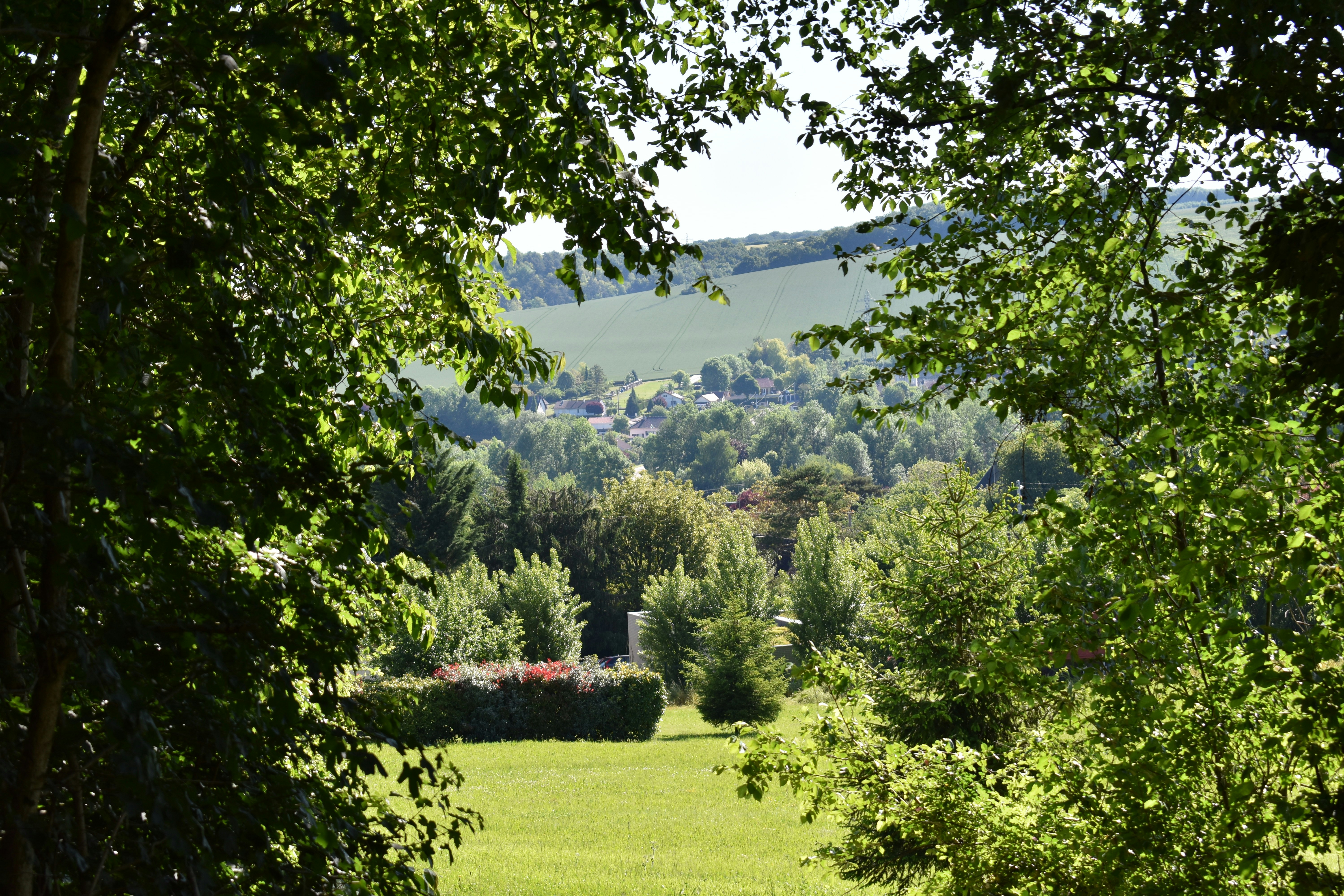 Photo by claude_rz10