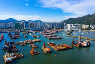 boats moored in bay