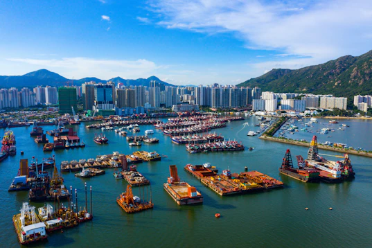 boats moored in bay