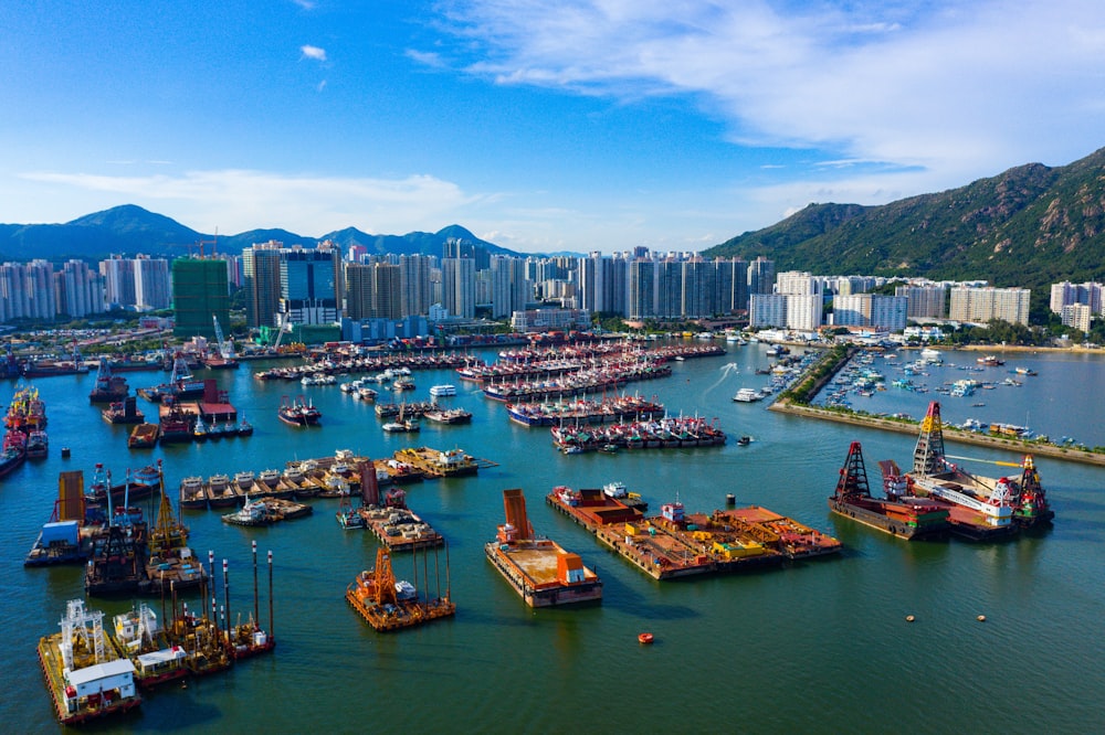 boats moored in bay