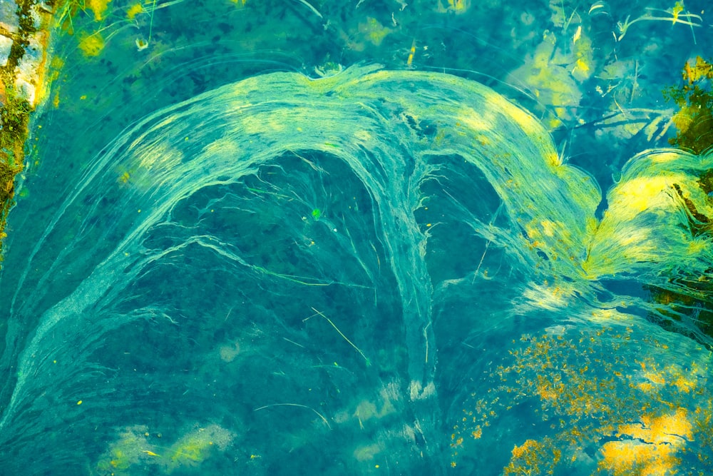 teal, yellow, and green painting