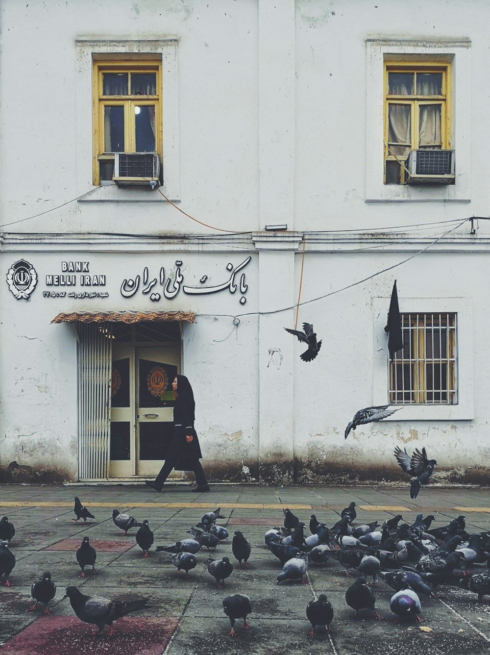 person walking beside white building passes by pigeons during daytime