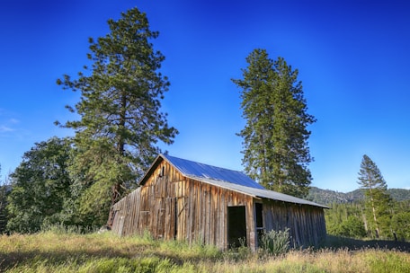A rustic wooden farm water storage tank nestled among tall pine trees under a bright blue sky.