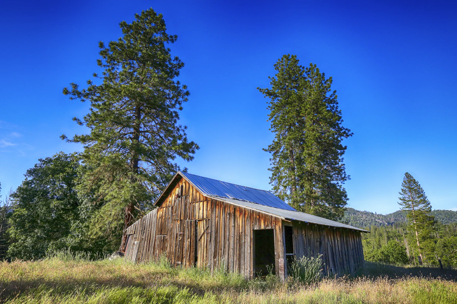 7 Mistakes First-Time Homebuyers Make in Penn Valley, CA,Bob Sawyer