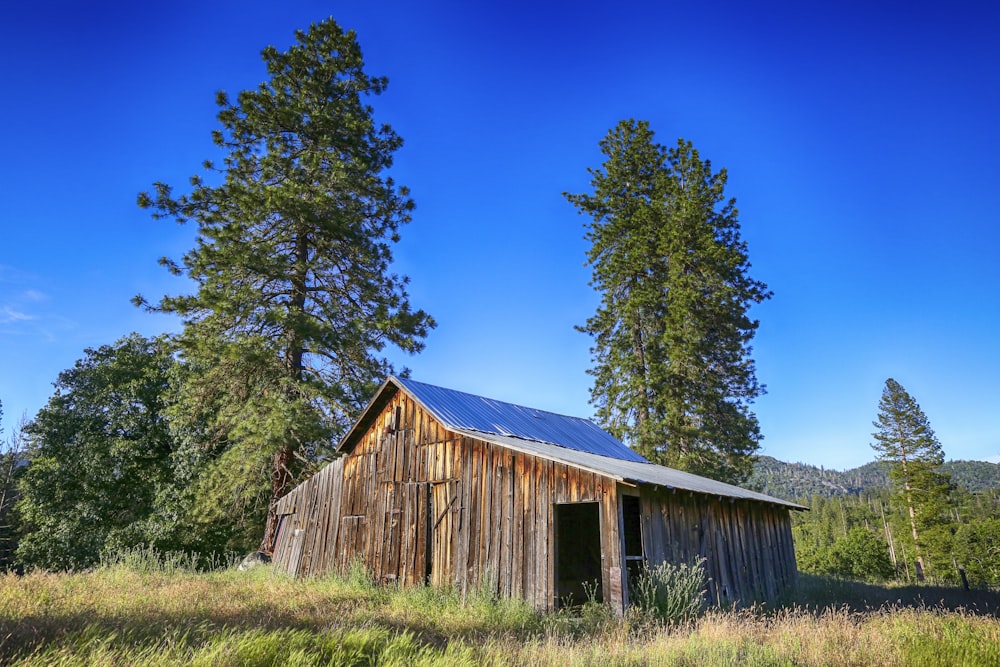 photography of house beside green-leafed trees during daytime