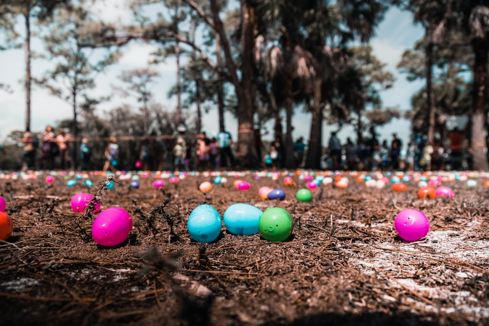 assorted-color faberge egg on brown grass