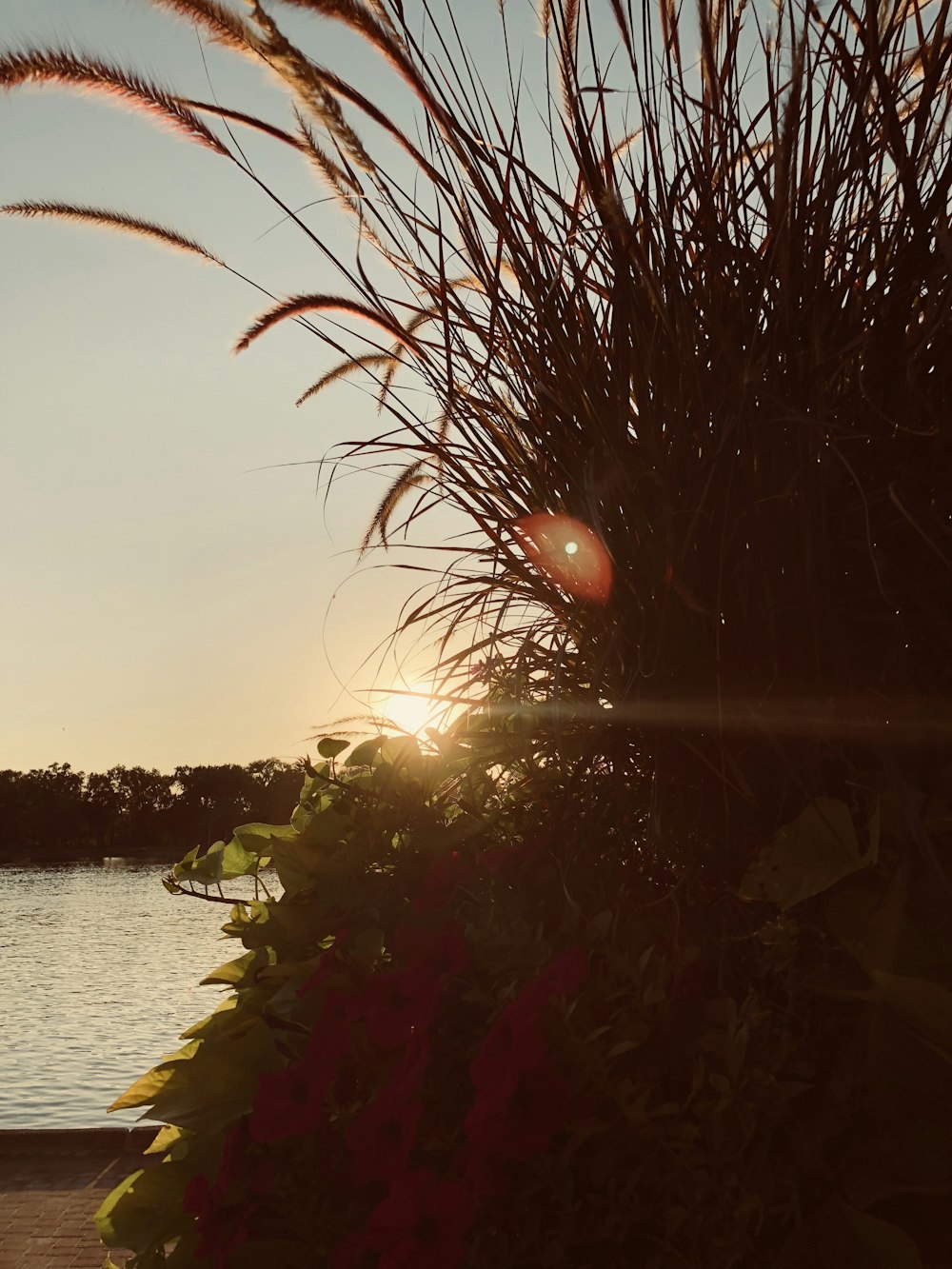 raggi di sole che attraversano la vista sul mare