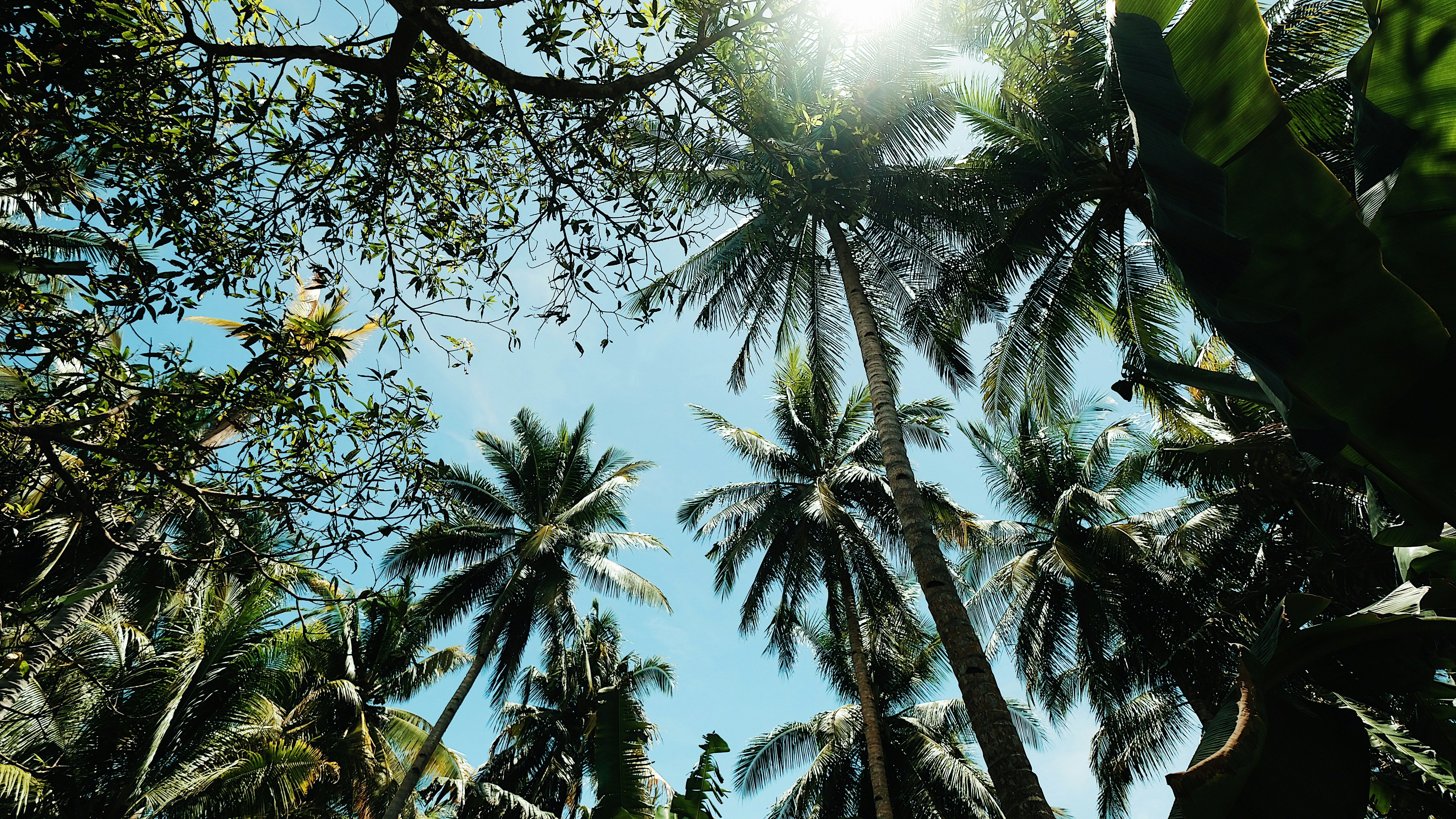 Photo by dodiachmad