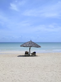 A serene beach view with comfortable lounge chairs under a clear blue sky.