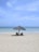 A serene beach view with lounge chairs and umbrellas under a clear blue sky.