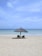 A serene beach view with lounge chairs and umbrellas under a clear blue sky.