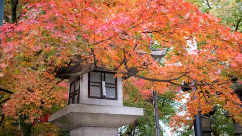 Labor Thanksgiving Day (Kinrō Kansha no Hi)