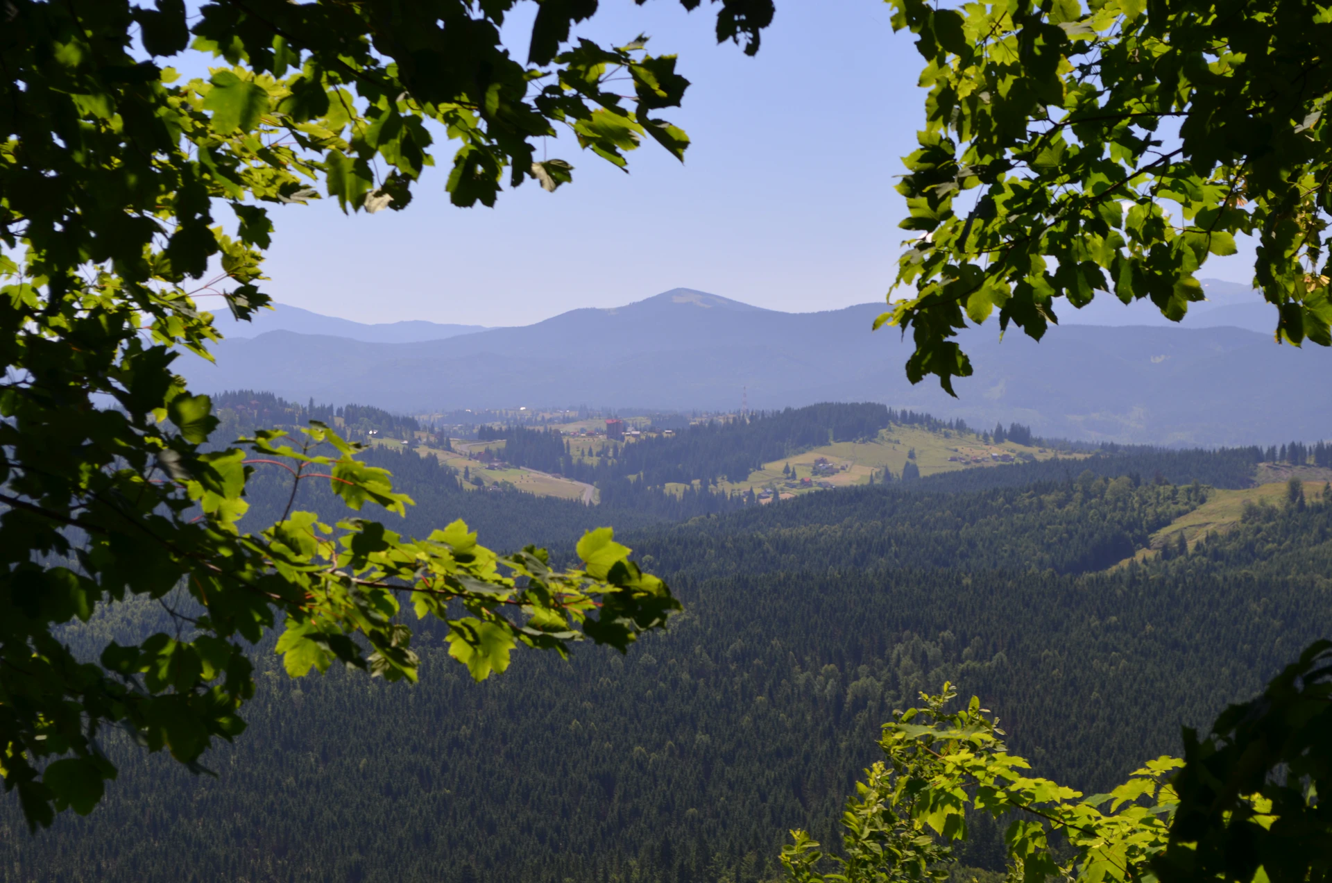 A peaceful view of the Friedgraben landscape with vibrant greenery and a clear blue sky, highlighting the natural beauty locals want to preserve.