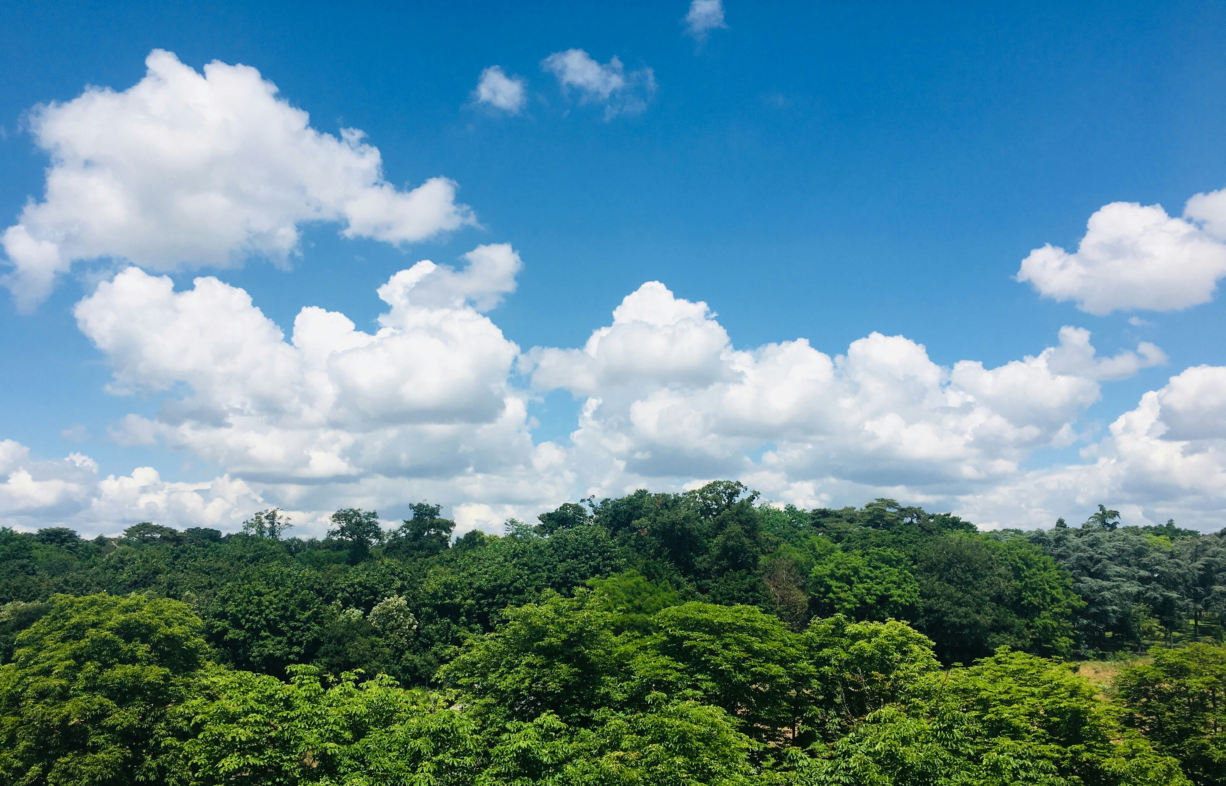 Photo by armand_khoury