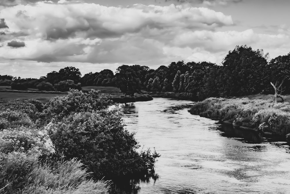 greyscale photo of water stream