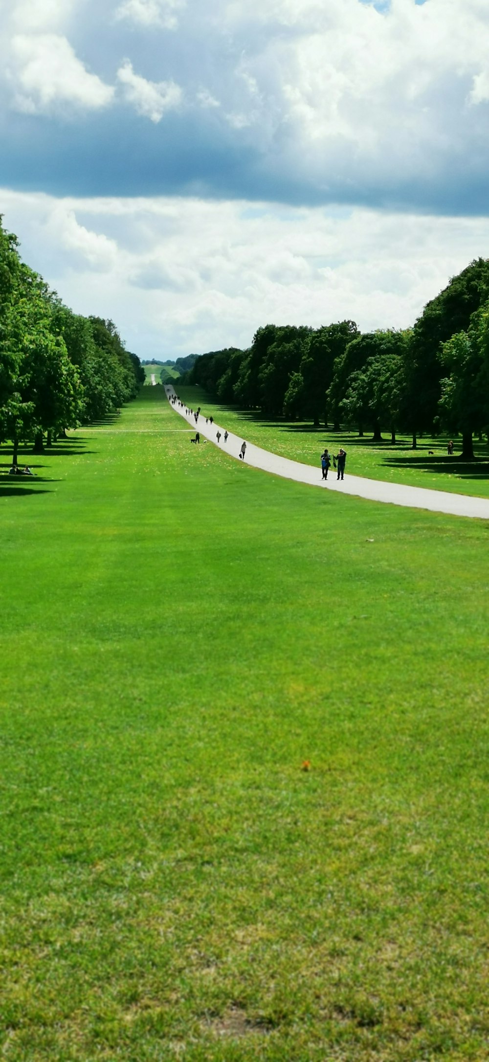 900 grass background images download