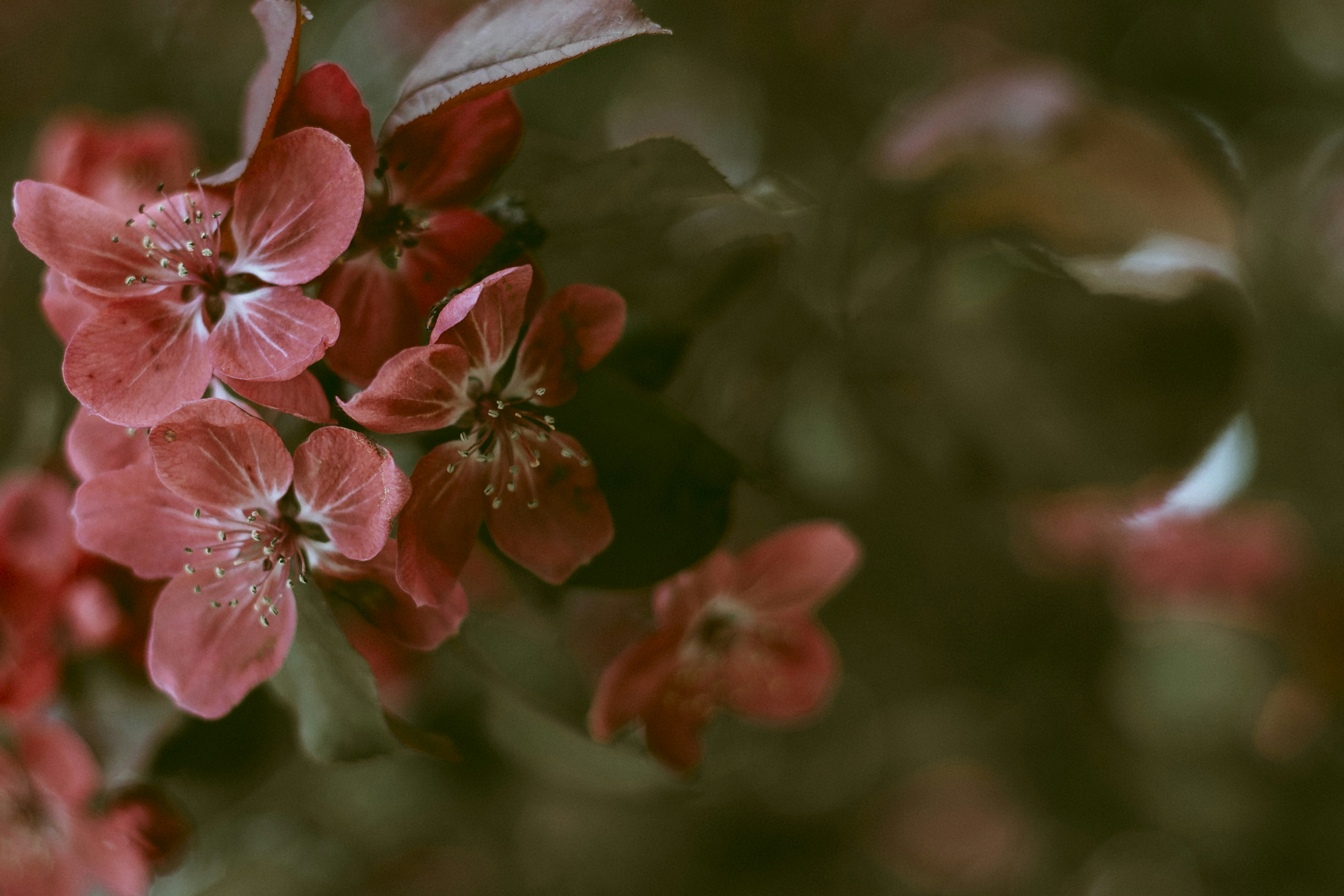 Photo by natashareddy