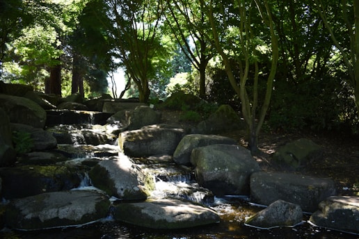 A serene natural setting with a small waterfall flowing over large rocks surrounded by lush green trees. The sunlight filters through the tree canopy, creating patterns of light and shadow on the stones and water.