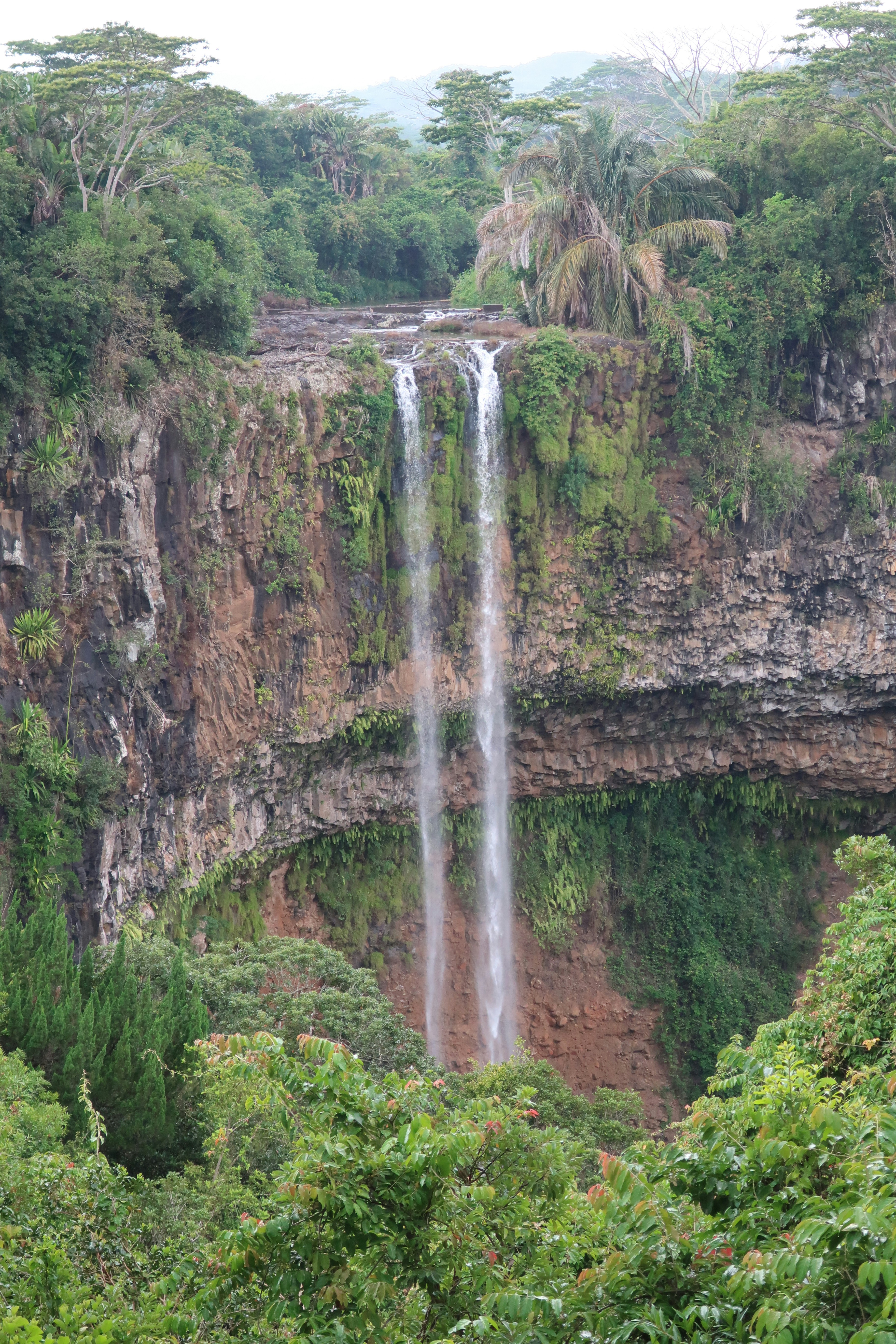 Photo by chesterfordhouse