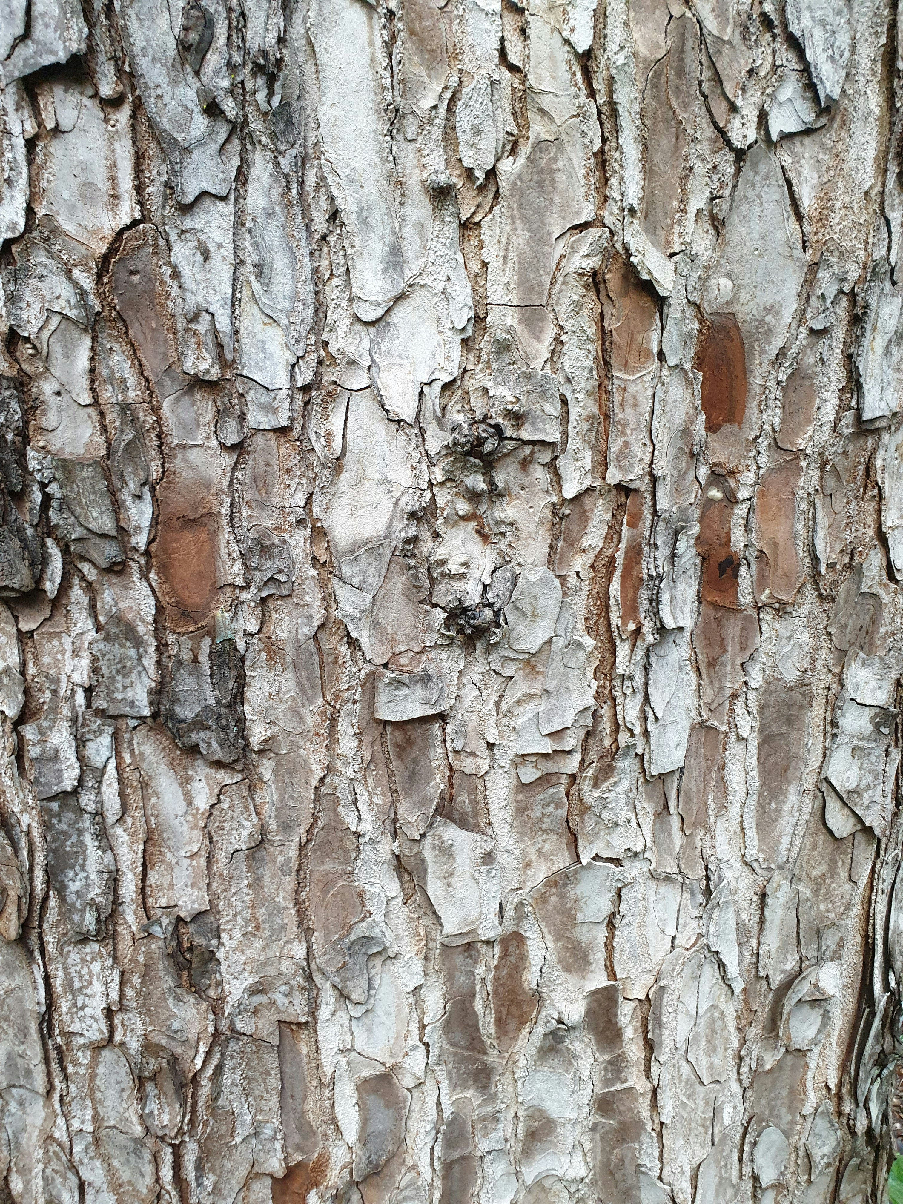 Photo by arshadpooloo