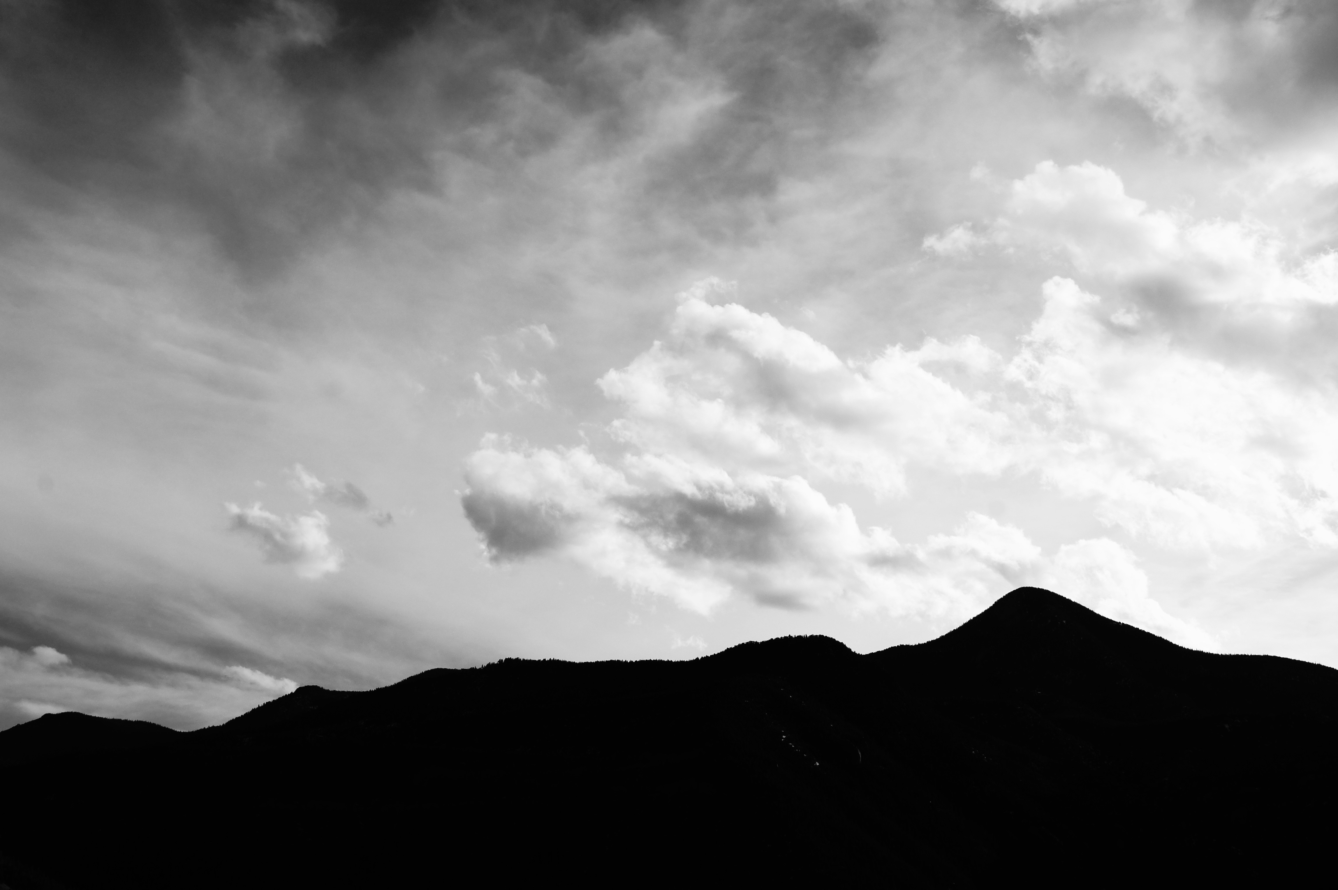 Photo by njordannewsom