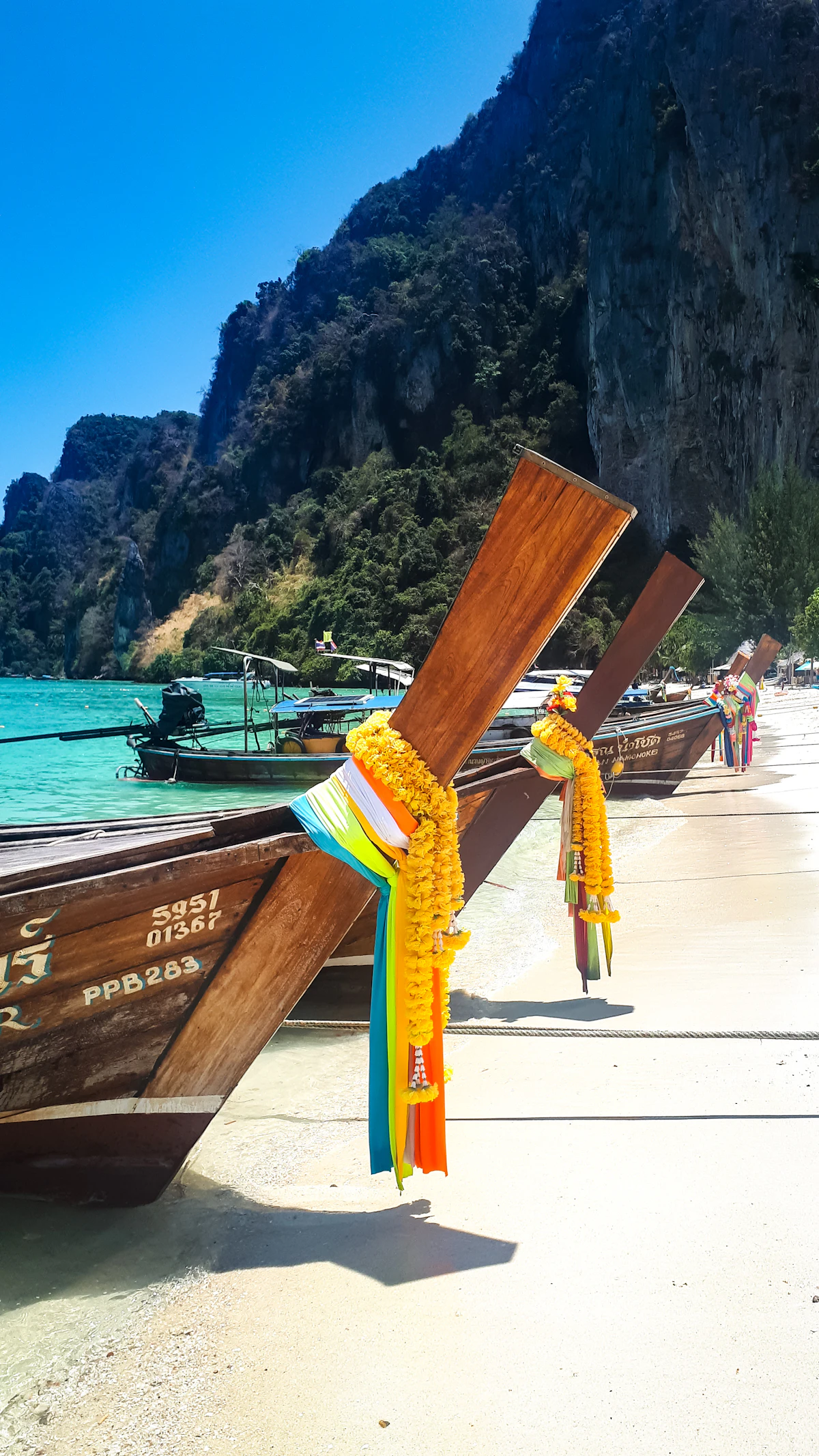 Ko Phi Phi Le day trips with guided tours