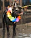 A joyful French Bulldog wearing a colorful bandana, sitting in a sunny garden.