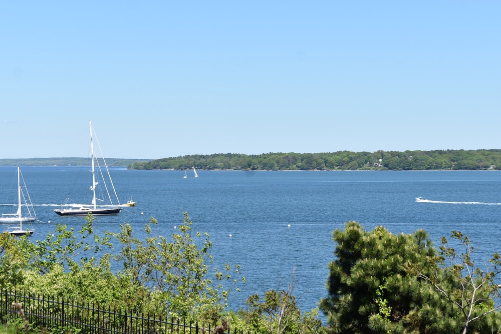 black boat near island