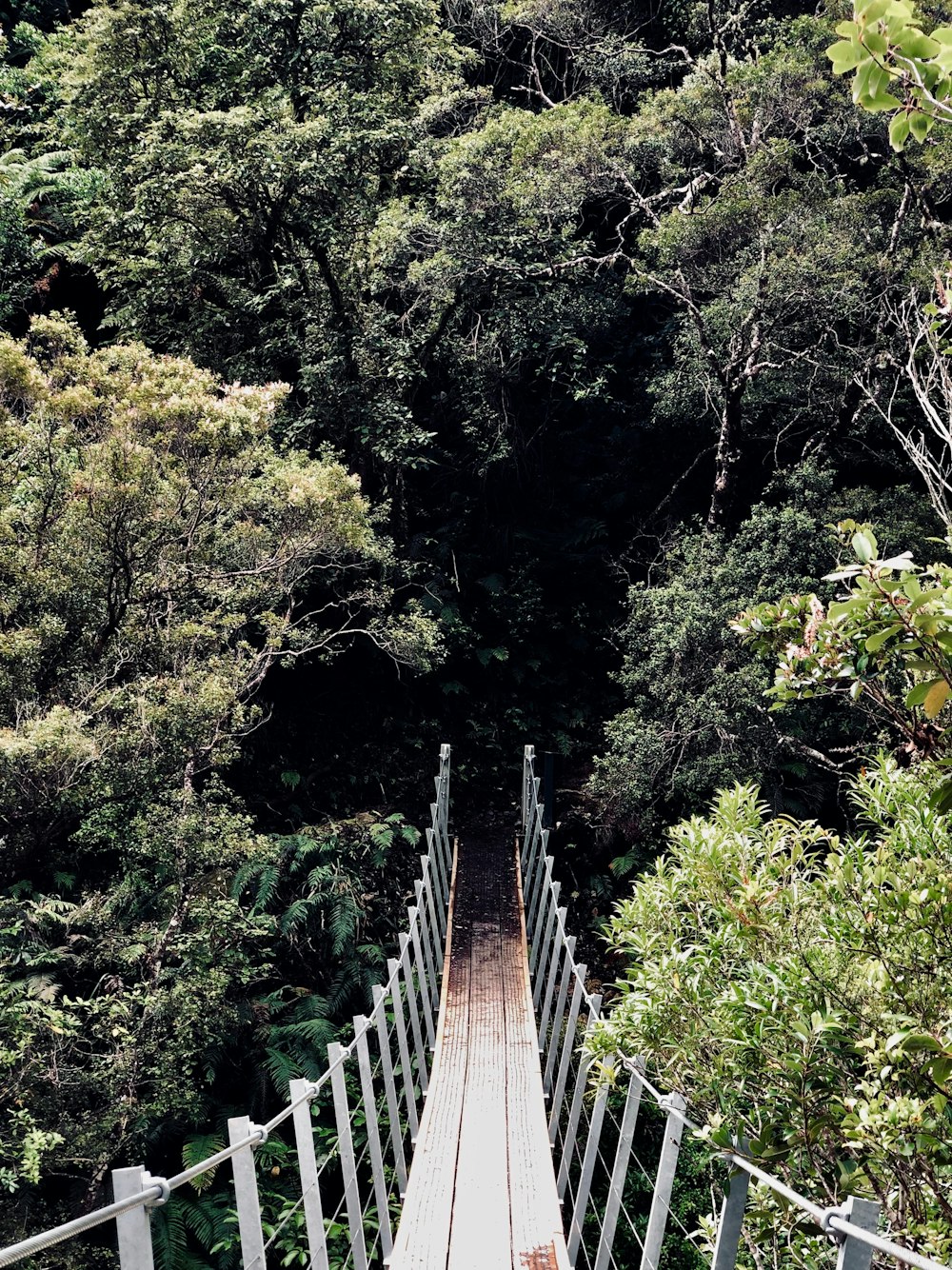 a wooden bridge in the middle of a forest