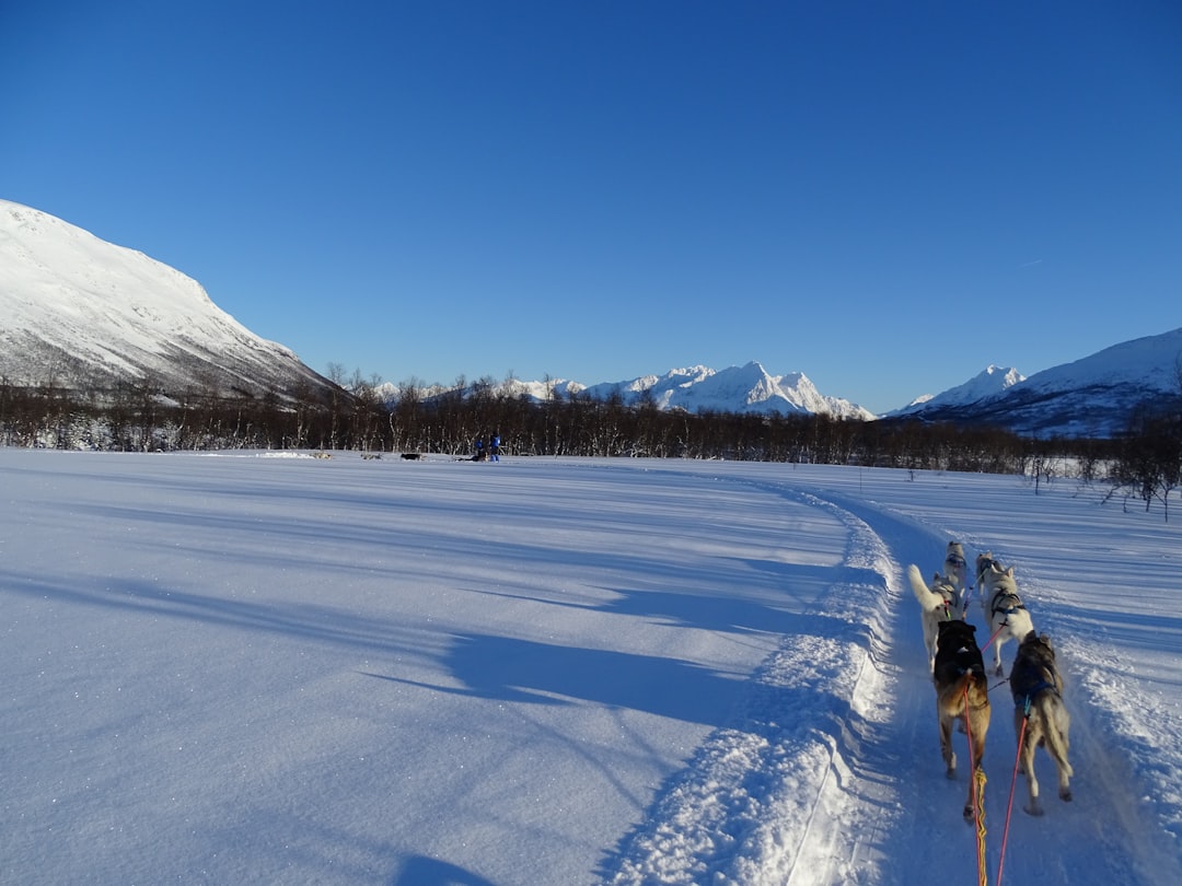 Mountain range photo spot Unnamed Road Lyngen Alps