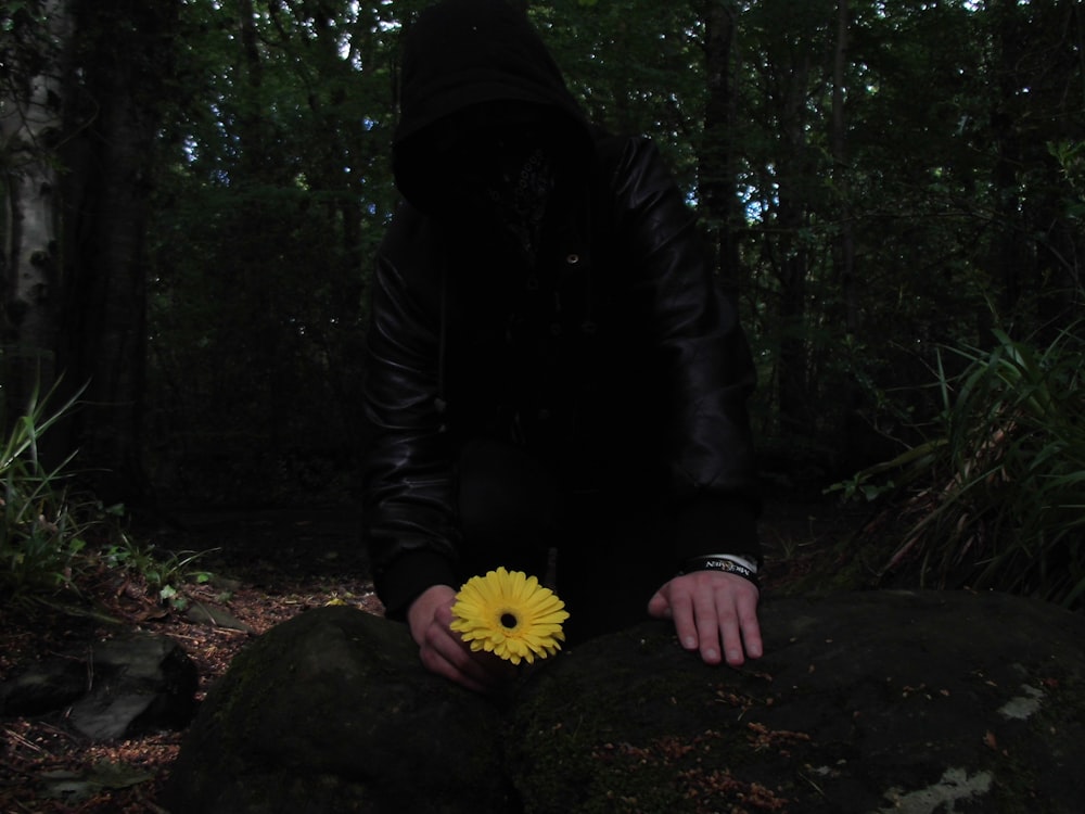 person holding yellow petaled flower
