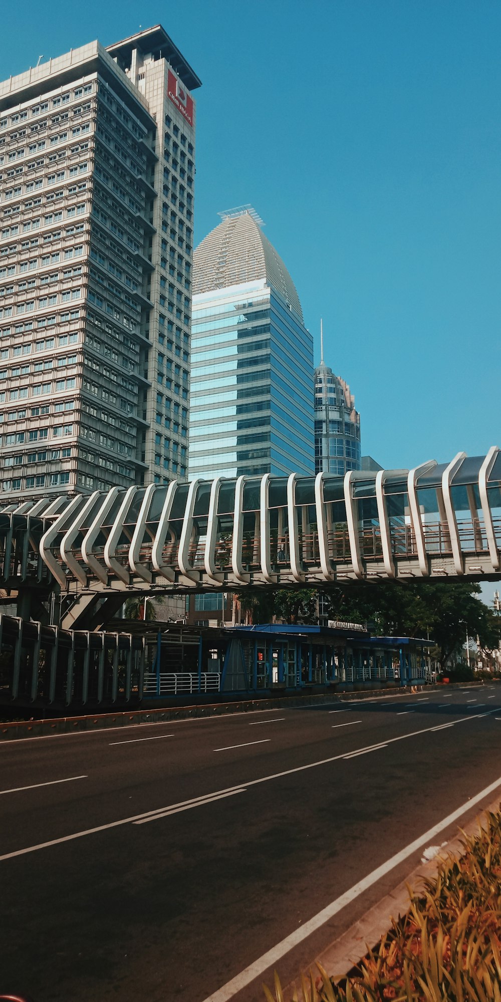 foto de baixo ângulo de edifícios altos