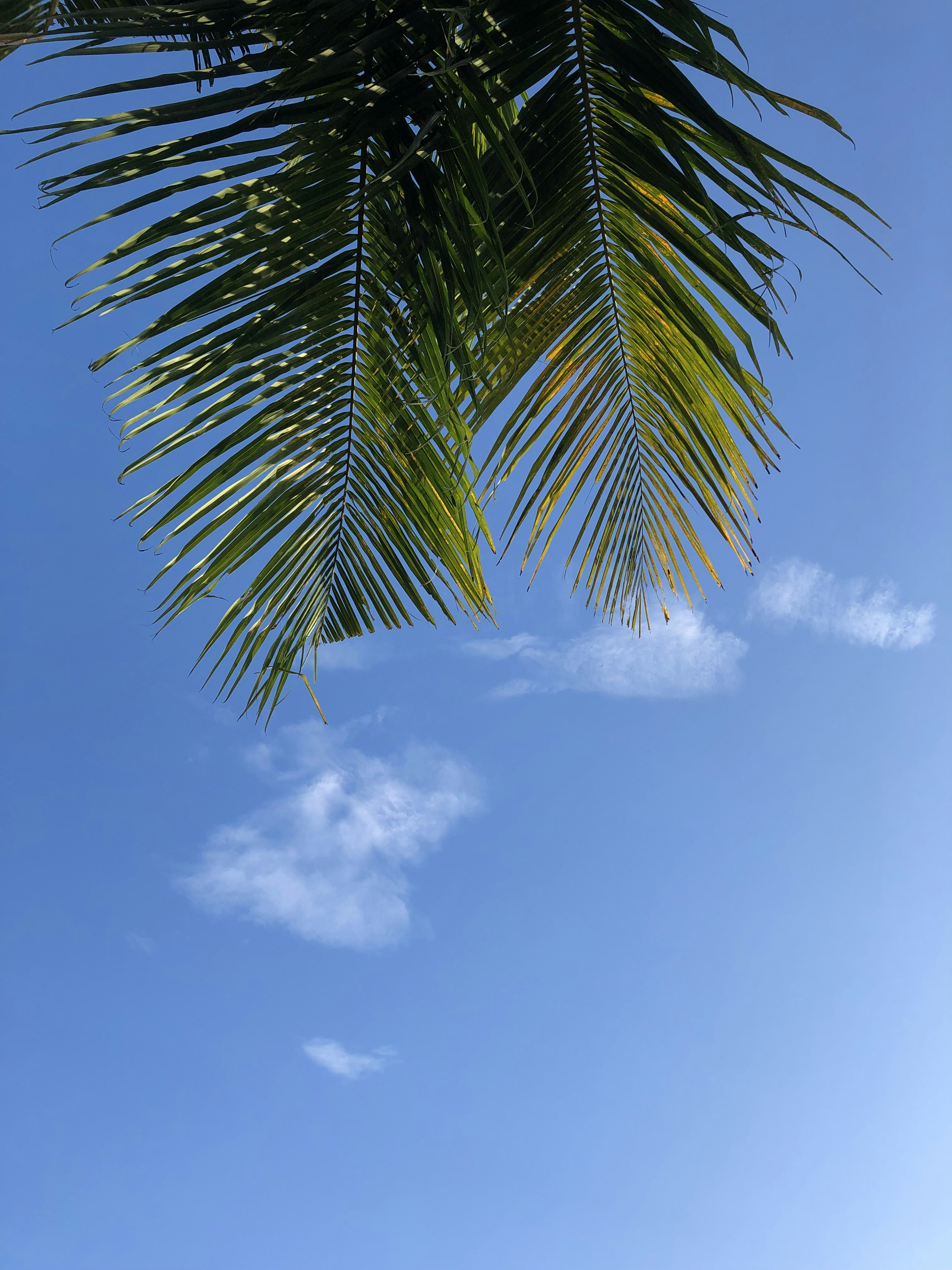 Photo by adryanpakpahan