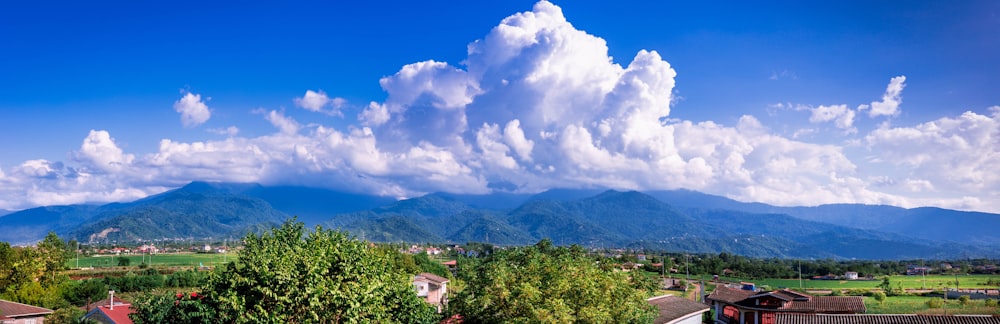 green trees across thick white clouds