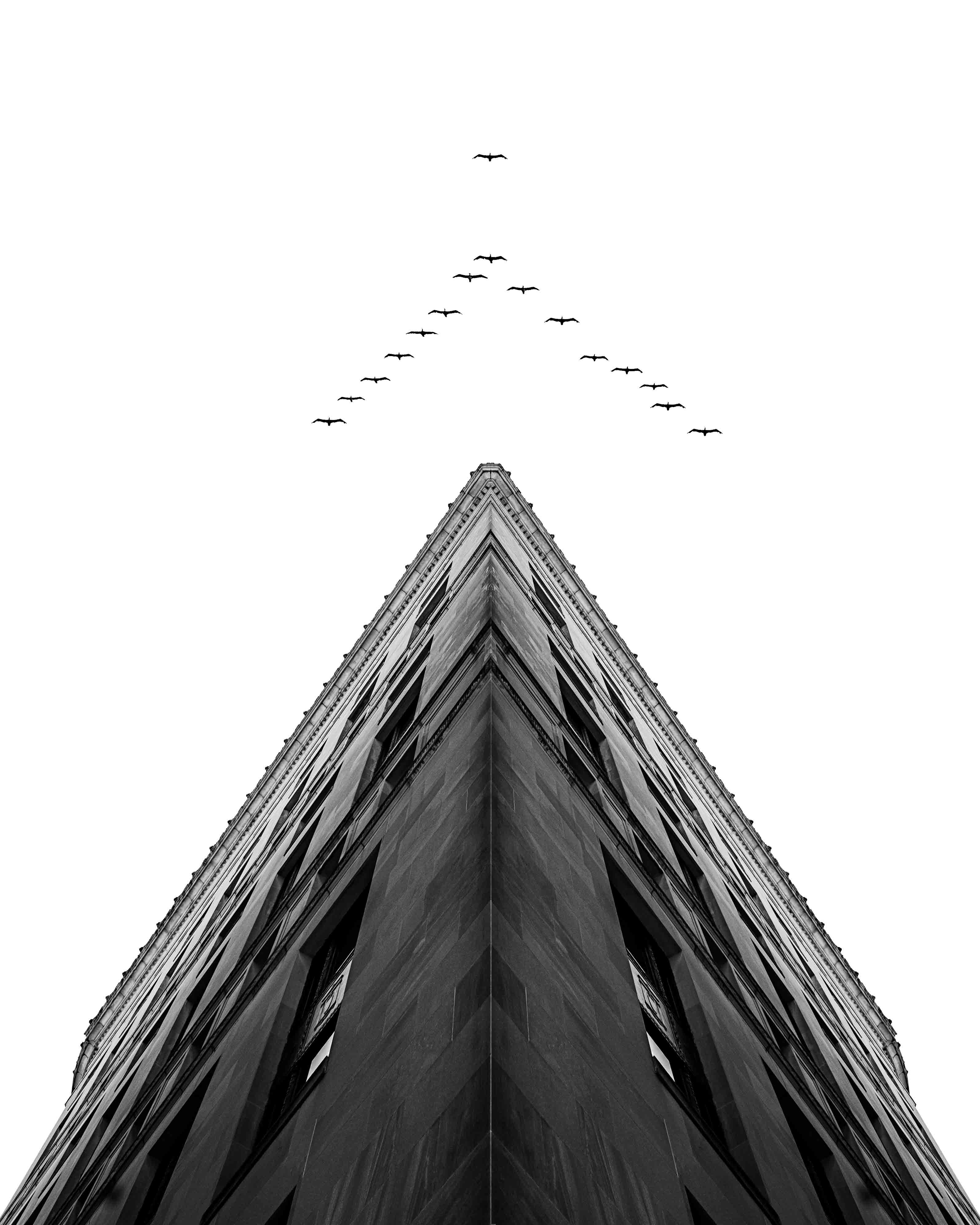 photo-1560042167-a1f69b923445?ixid=M3wxMjA3fDB8MXxzZWFyY2h8MTZ8fHNhdHRhJTIwa2luZyUyMGNoYXJ0fGVufDB8fHx8MTc1NDk4MTE4NHww\u0026ixlib=rb-4.1.0