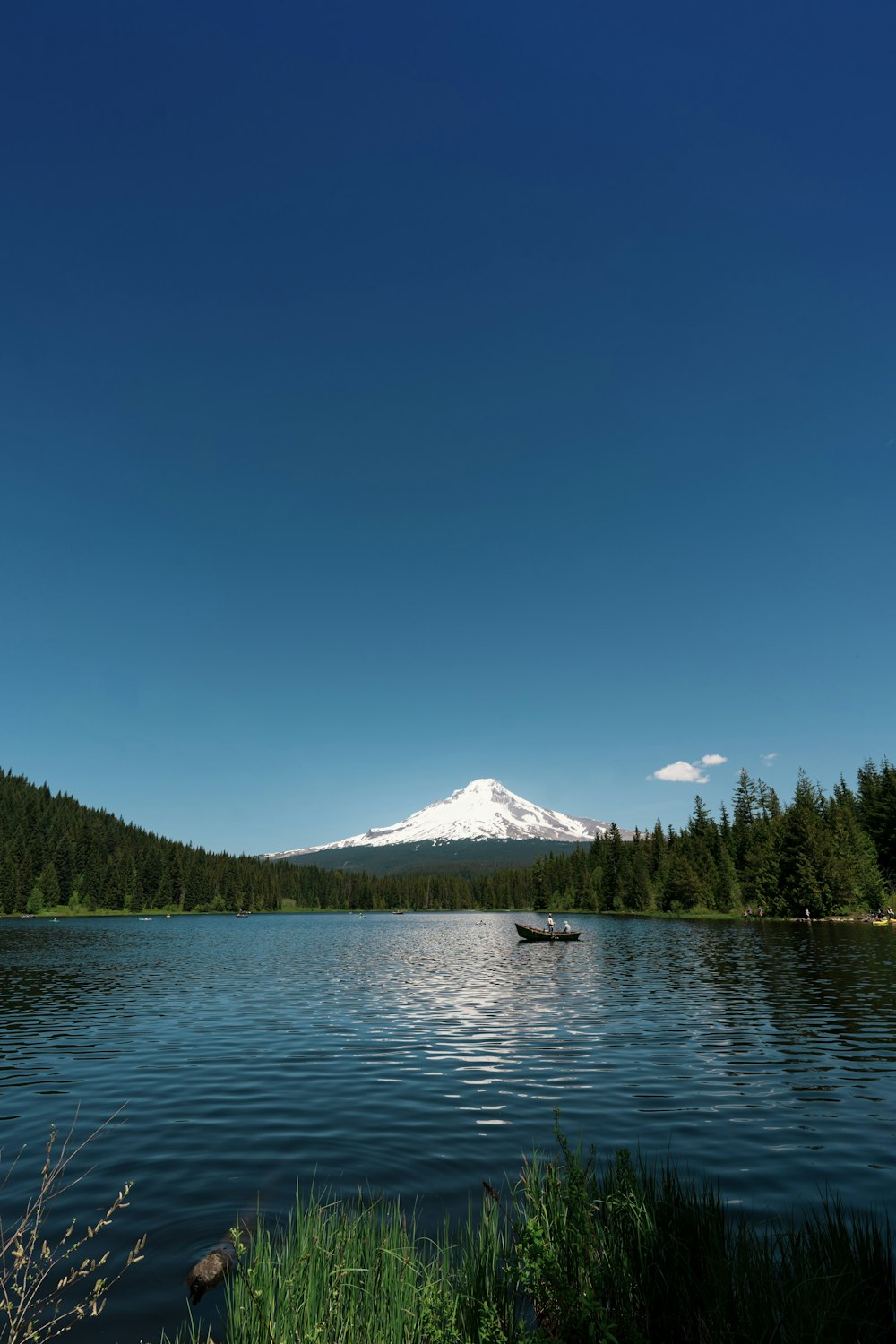 mountain view near body of water surrounded with pine trees