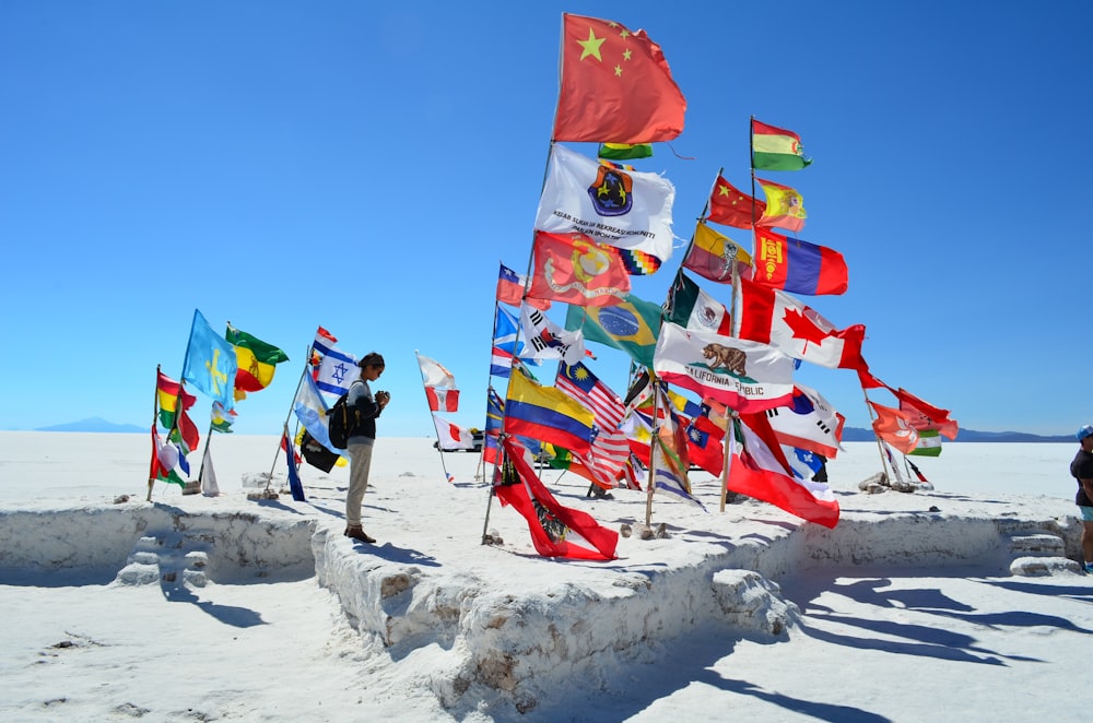 person standing in different United Nation flags on field under blue skies