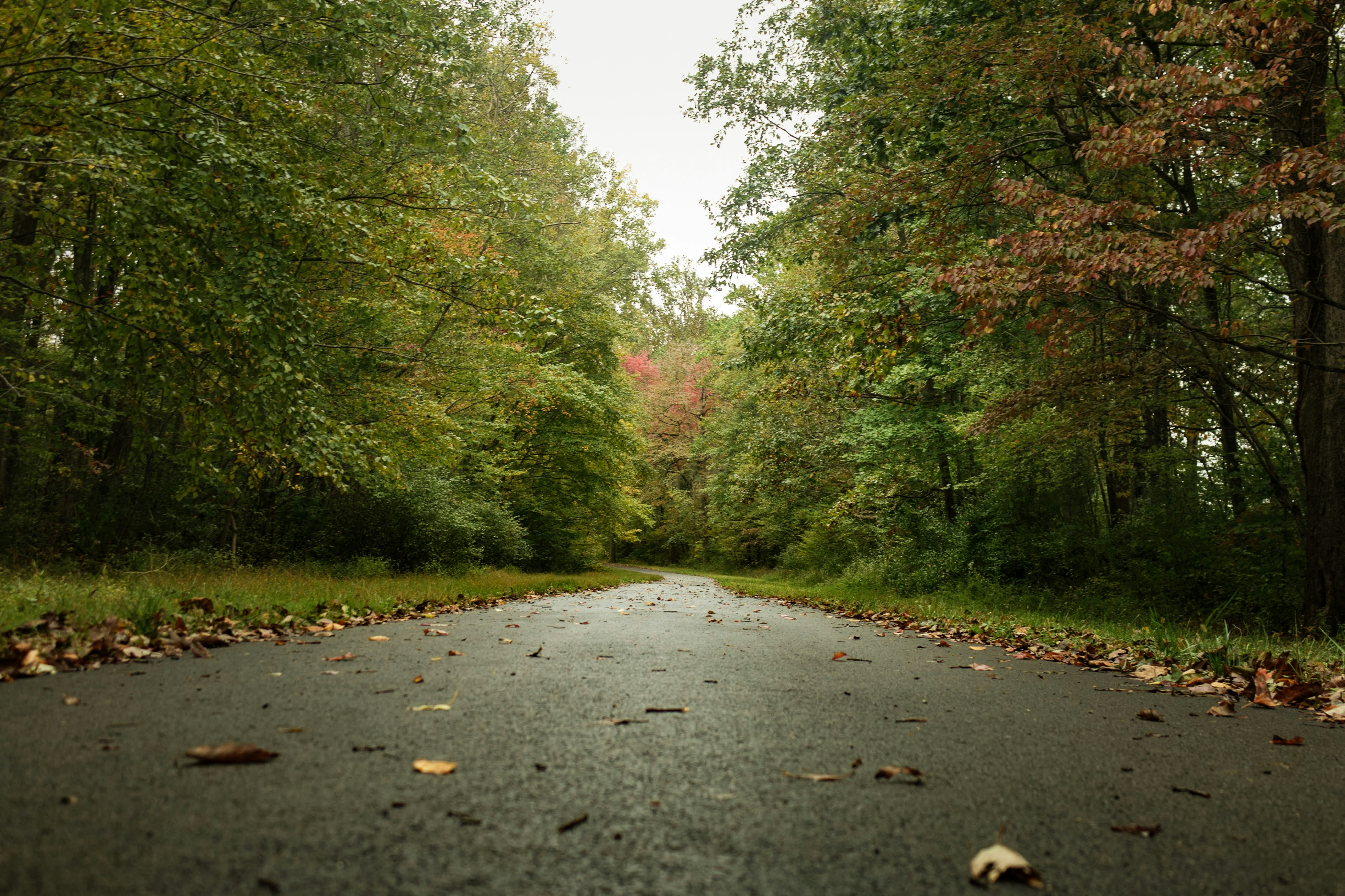 Photo by eddiepalmore