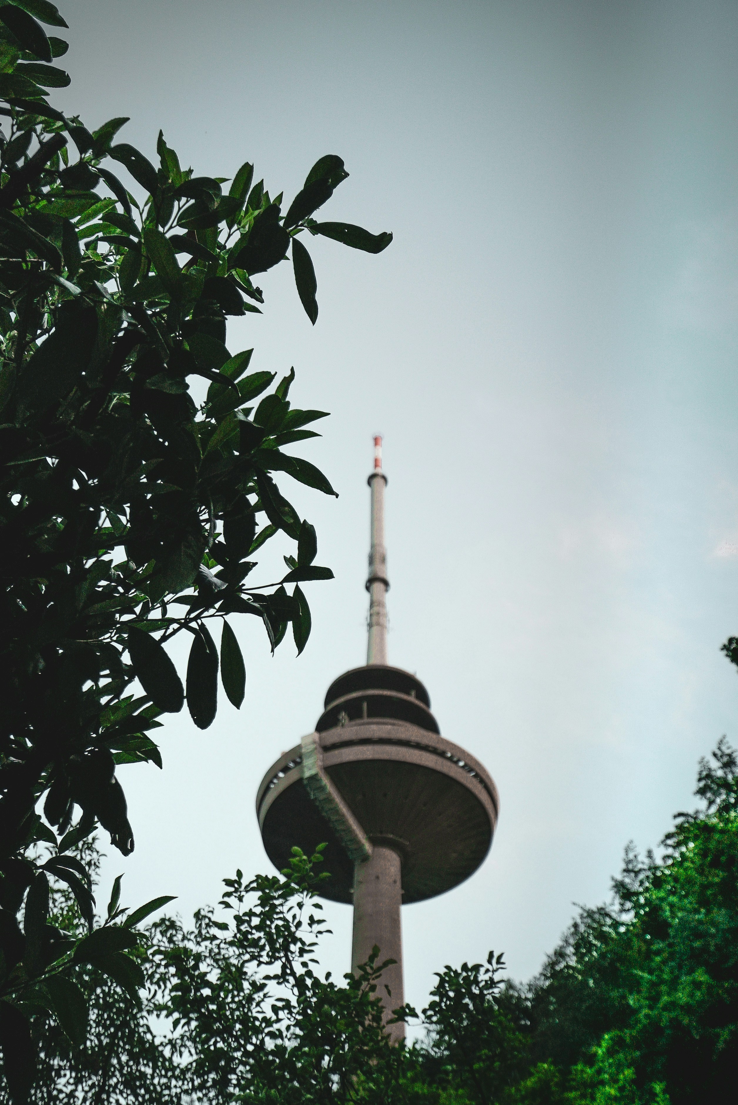 Photo by liam_arning