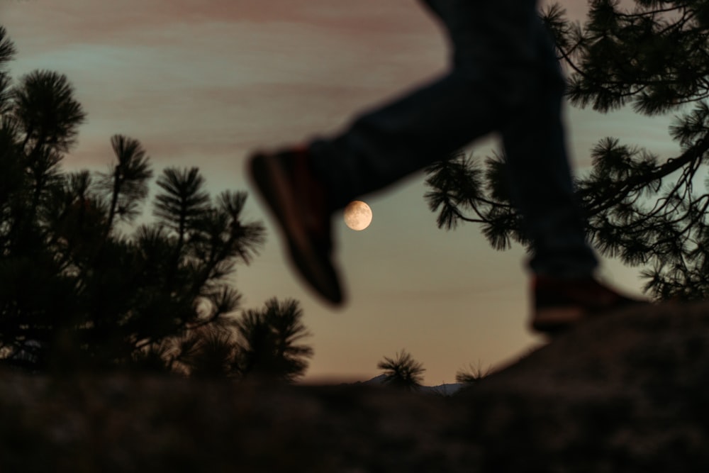 silhouette photo of person's feet and trees