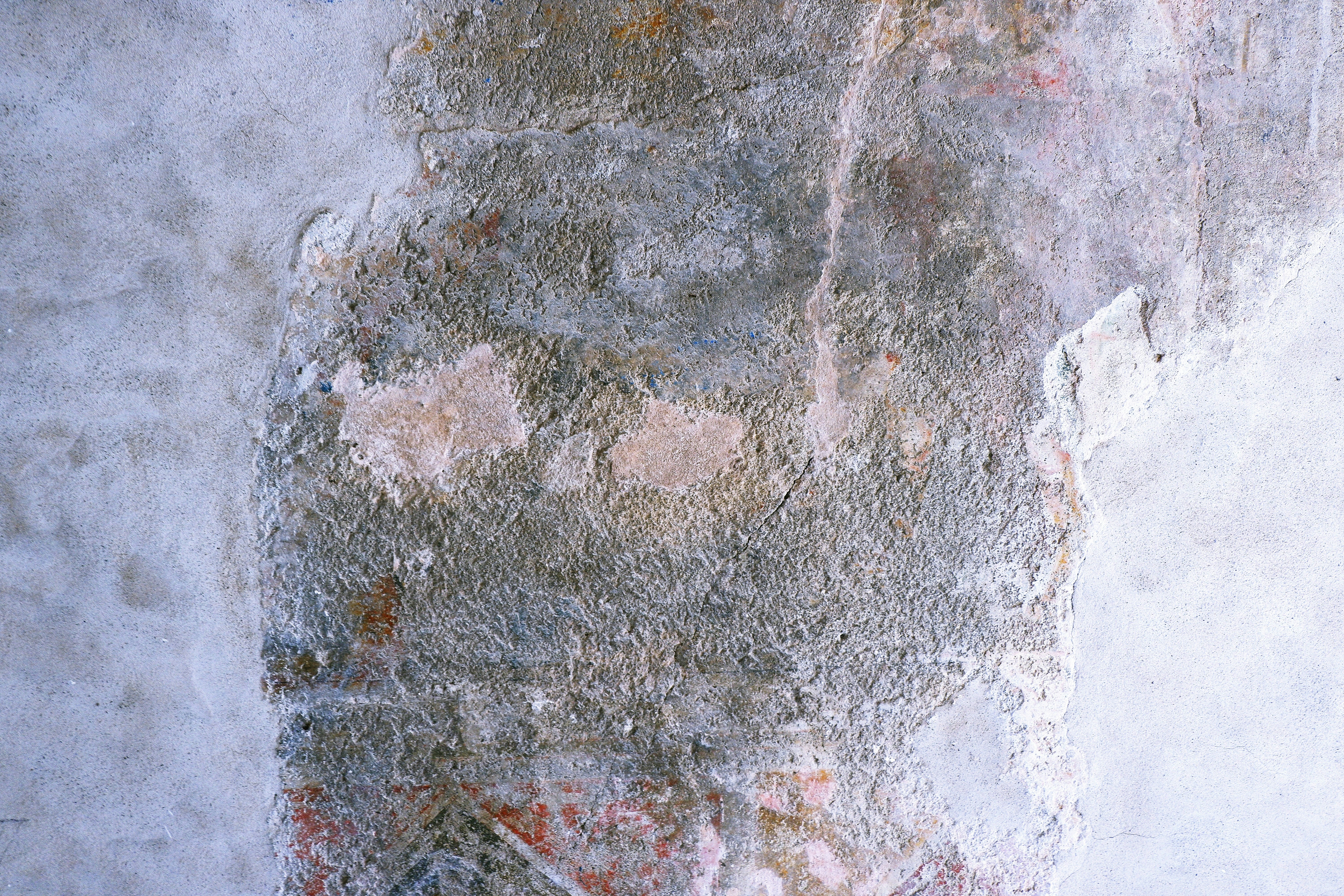 Mold Removal
