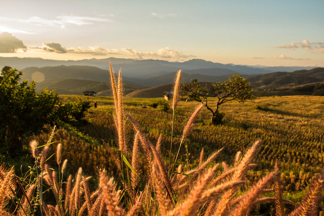 2-Day Pai Family Itinerary: Budget-Friendly & Relaxed