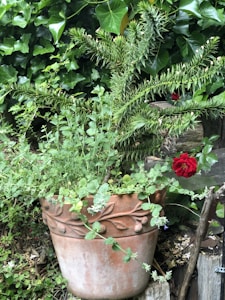Floral Terracotta Planter
