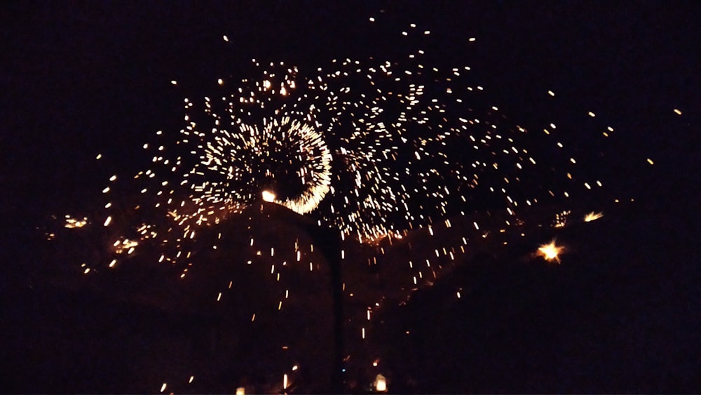 fireworks during night time