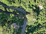 A detailed aerial shot of a winding mountain road surrounded by dense forest.
