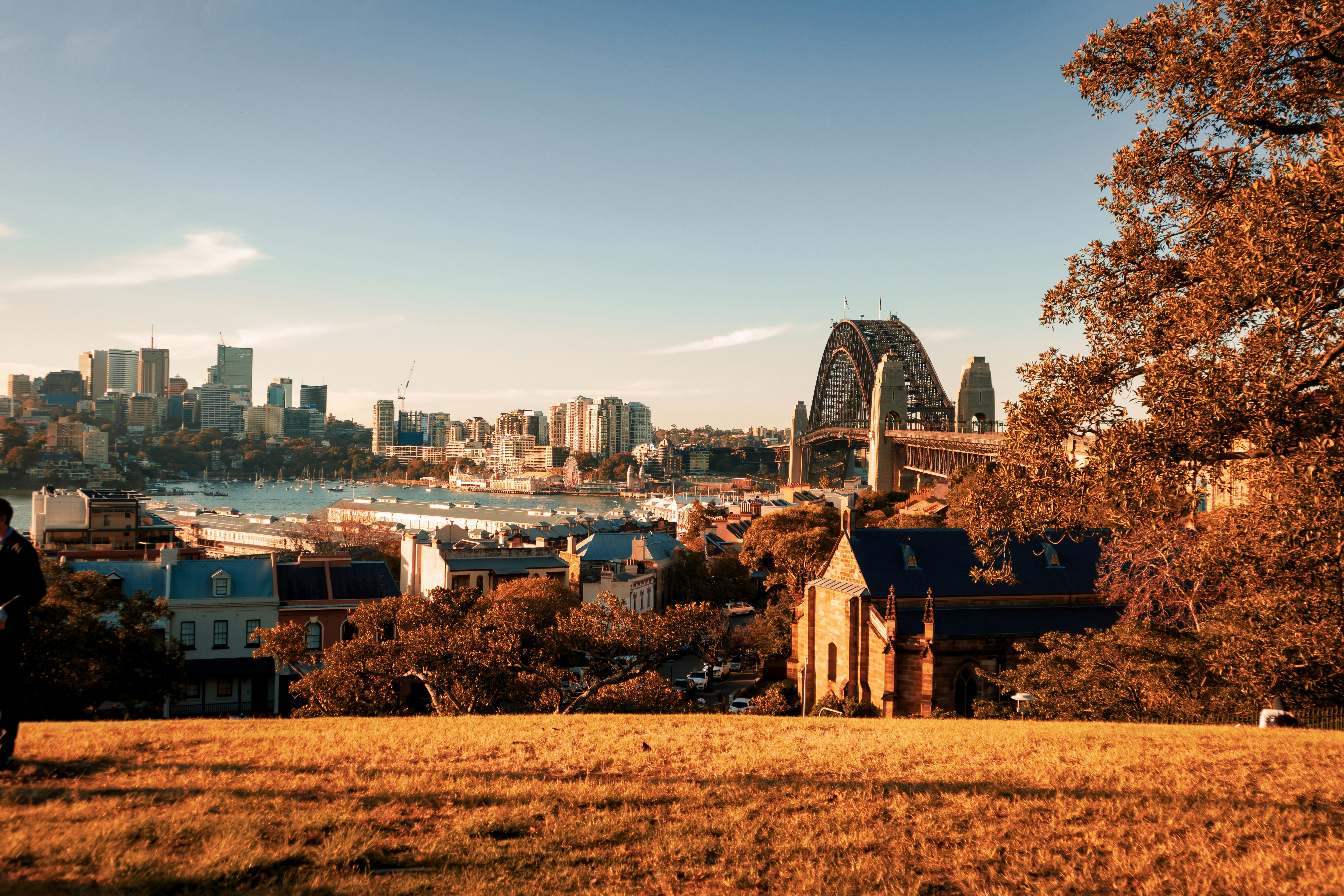 aerial photo of city building