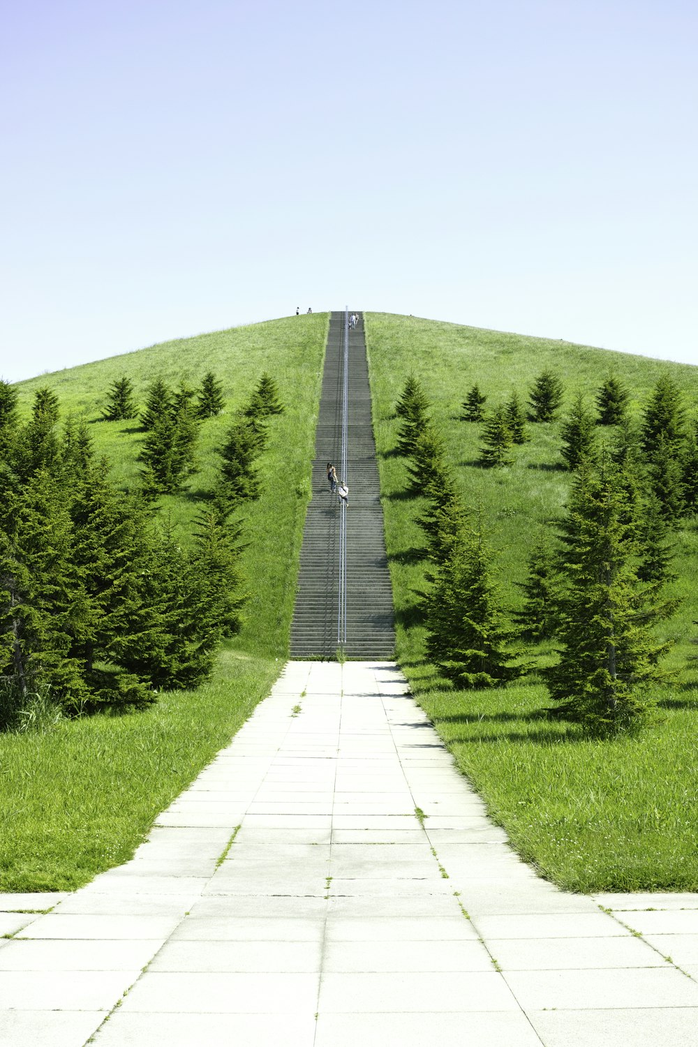 concrete road between trees