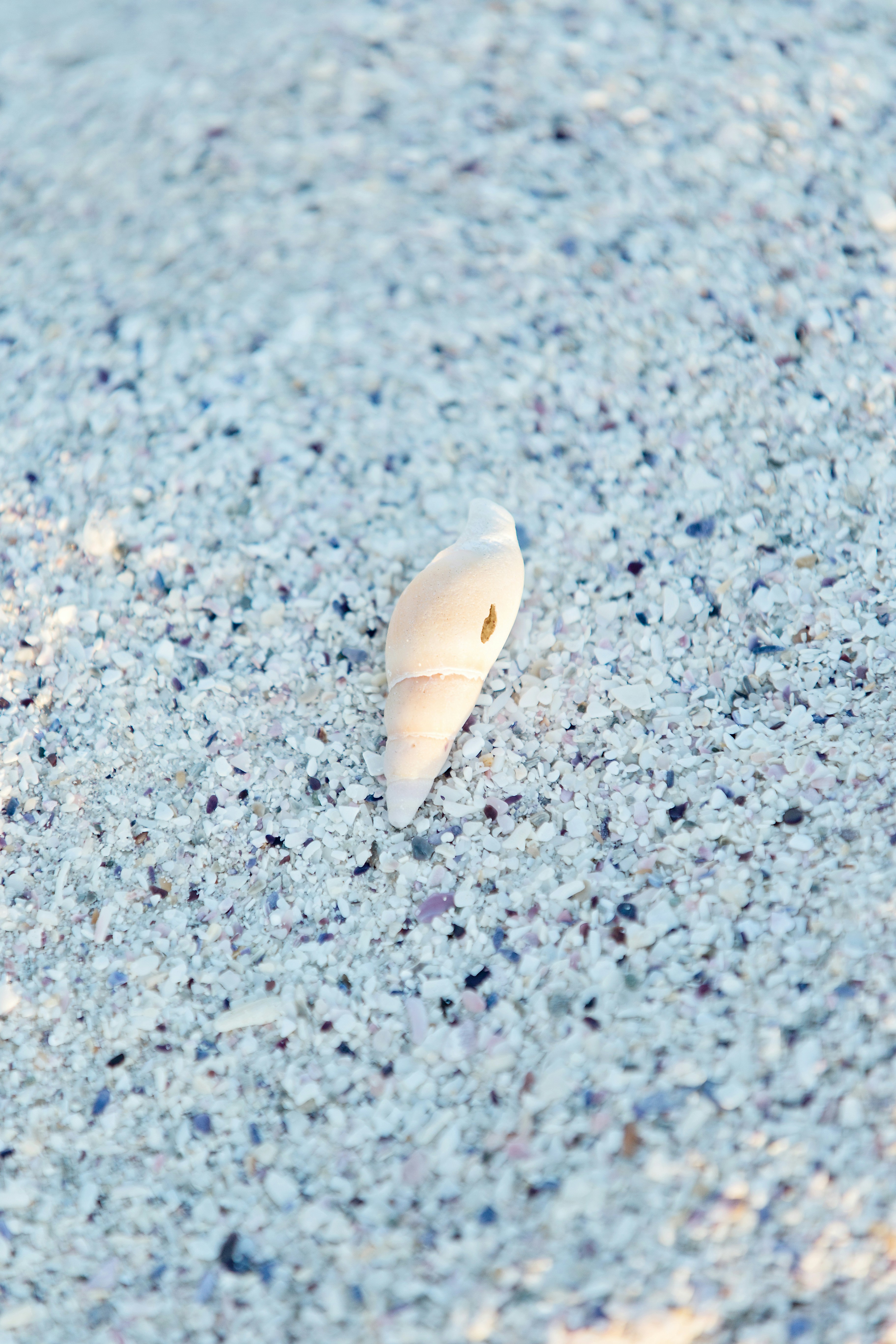 Photo by lizeldegouveia